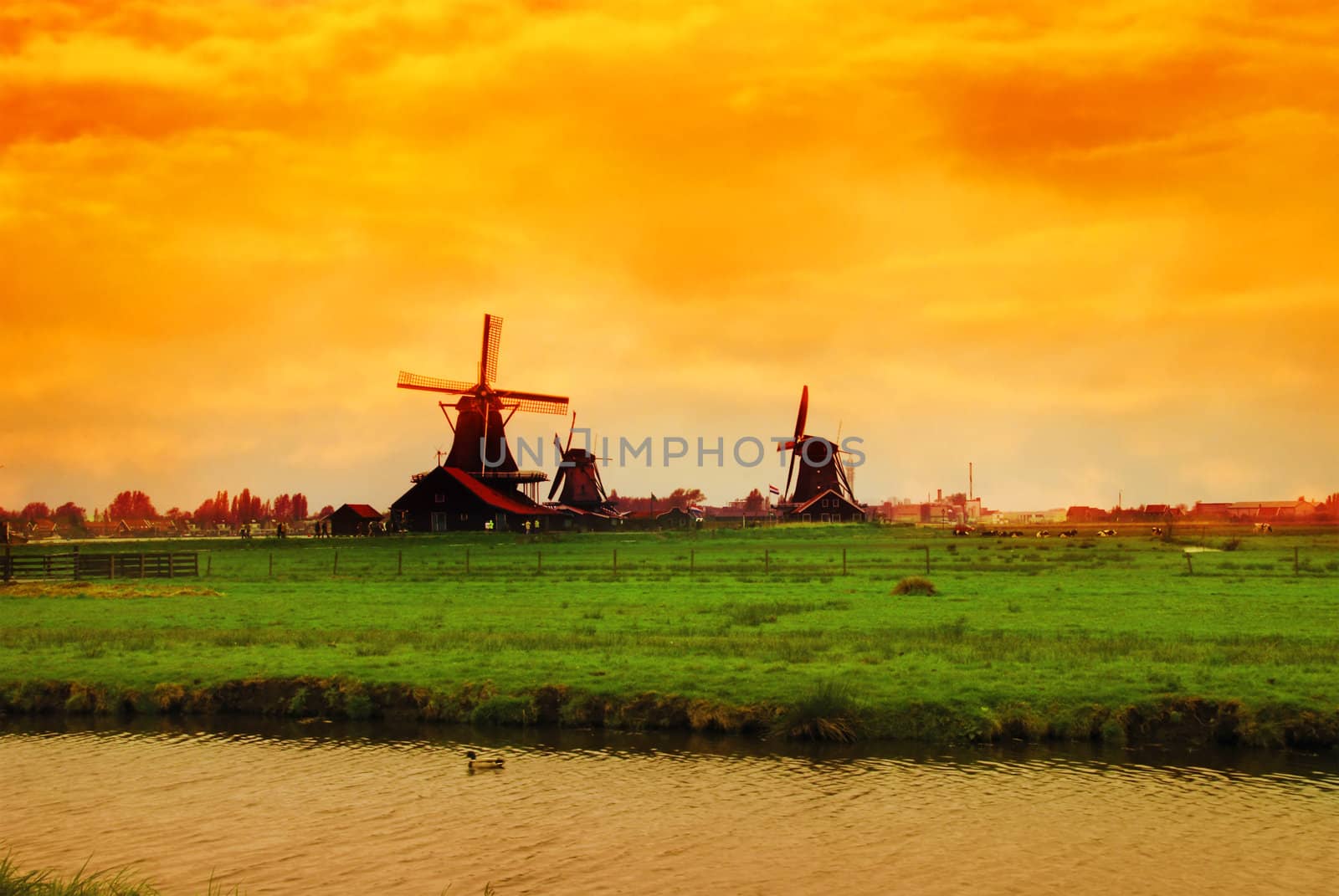 Beautiful sunset in Holland with a view at pasture with wind mills