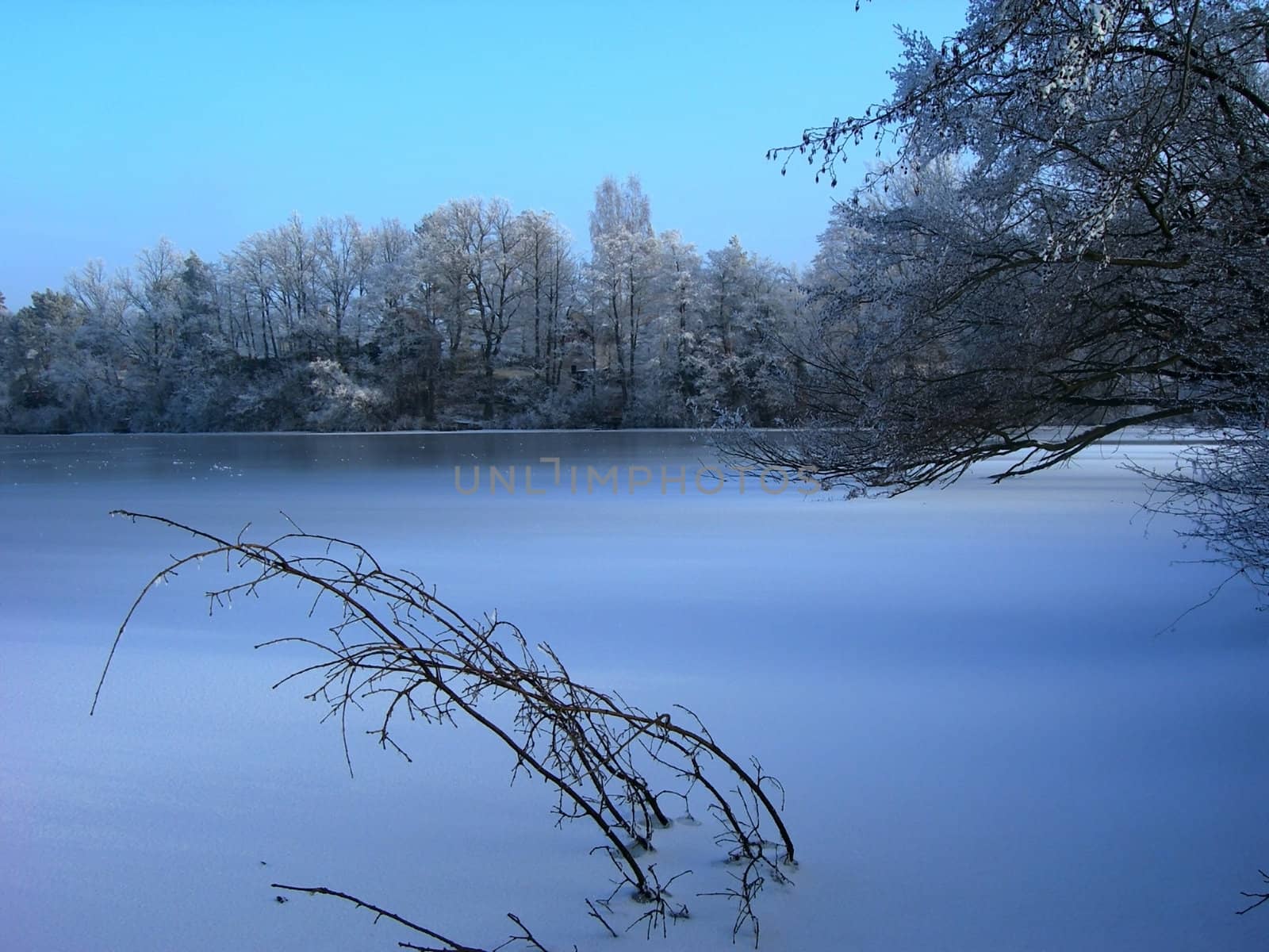 Frozen lake in winter with trees on the bank