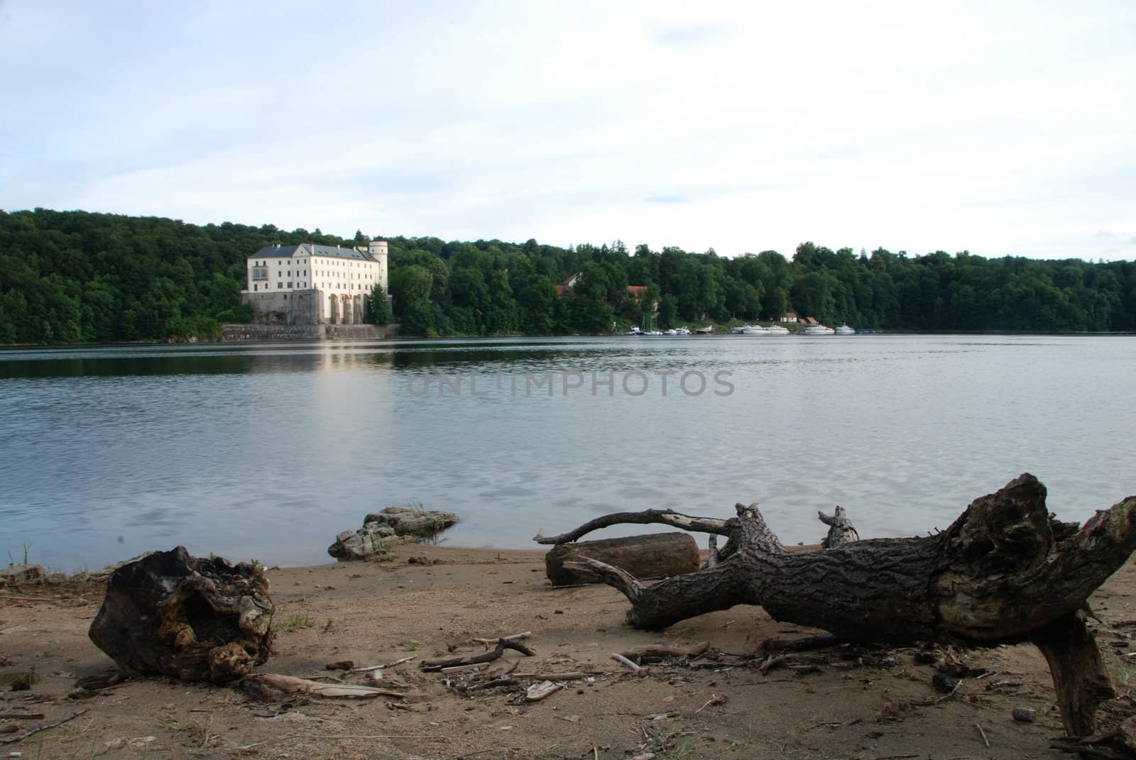 Orlik castle by drakodav