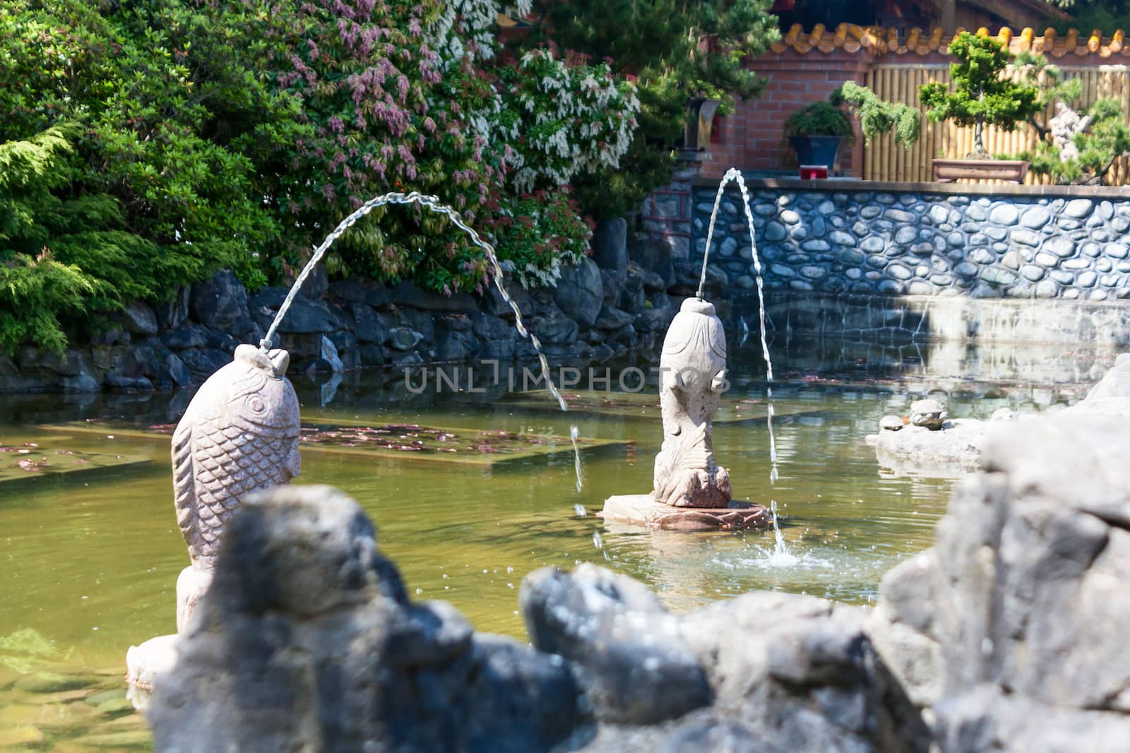 Pool and fountain. by aleksan