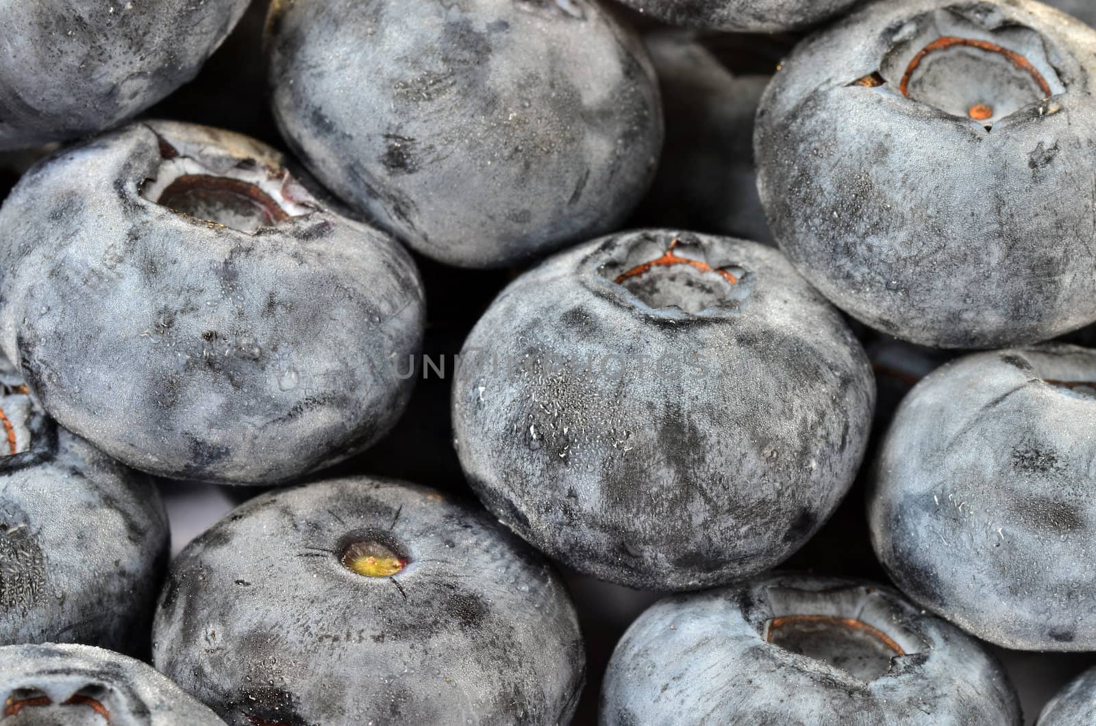 A lot of dark berries as fruity background