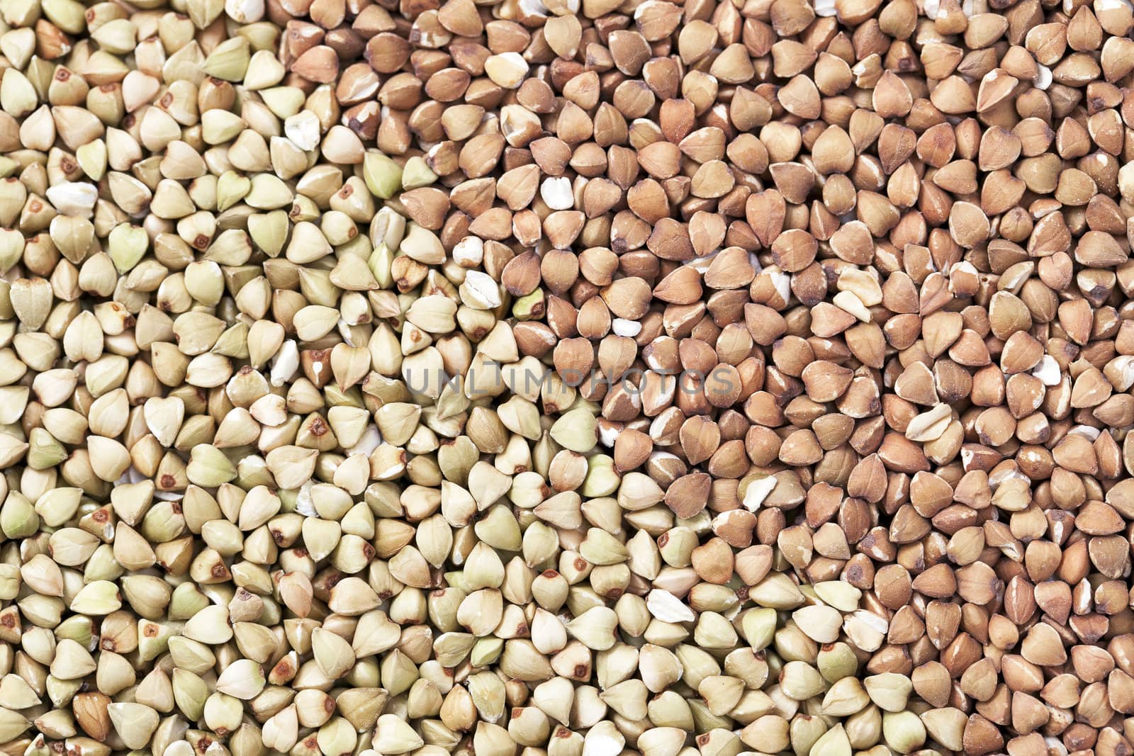 Untoasted and toasted buckwheat or kasha as a background