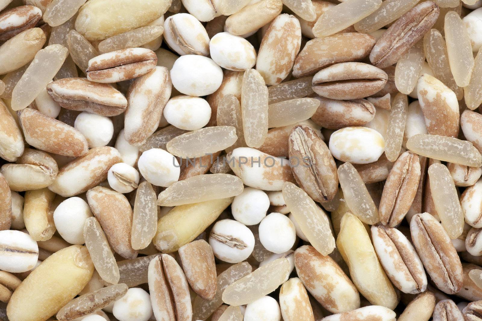 Closeup of mixet grains and rice