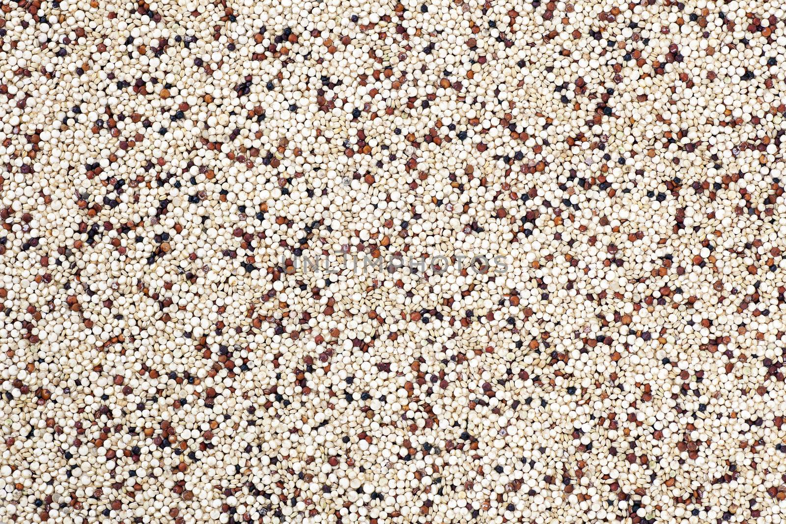 Mixed quinoa seeds filling frame for food texture or background