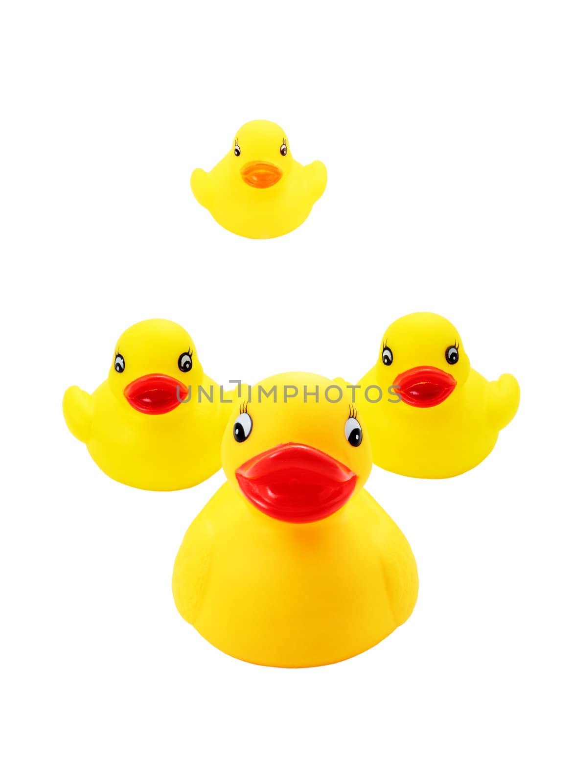 ducks of toy representing the concept of family isolated with clipping path