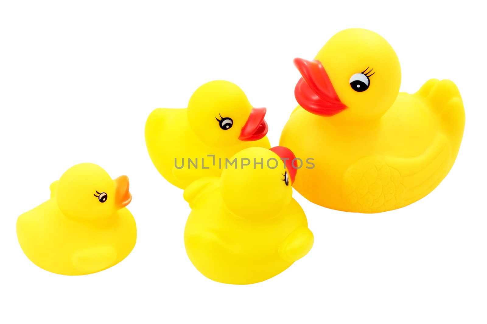 Family of ducks by croreja