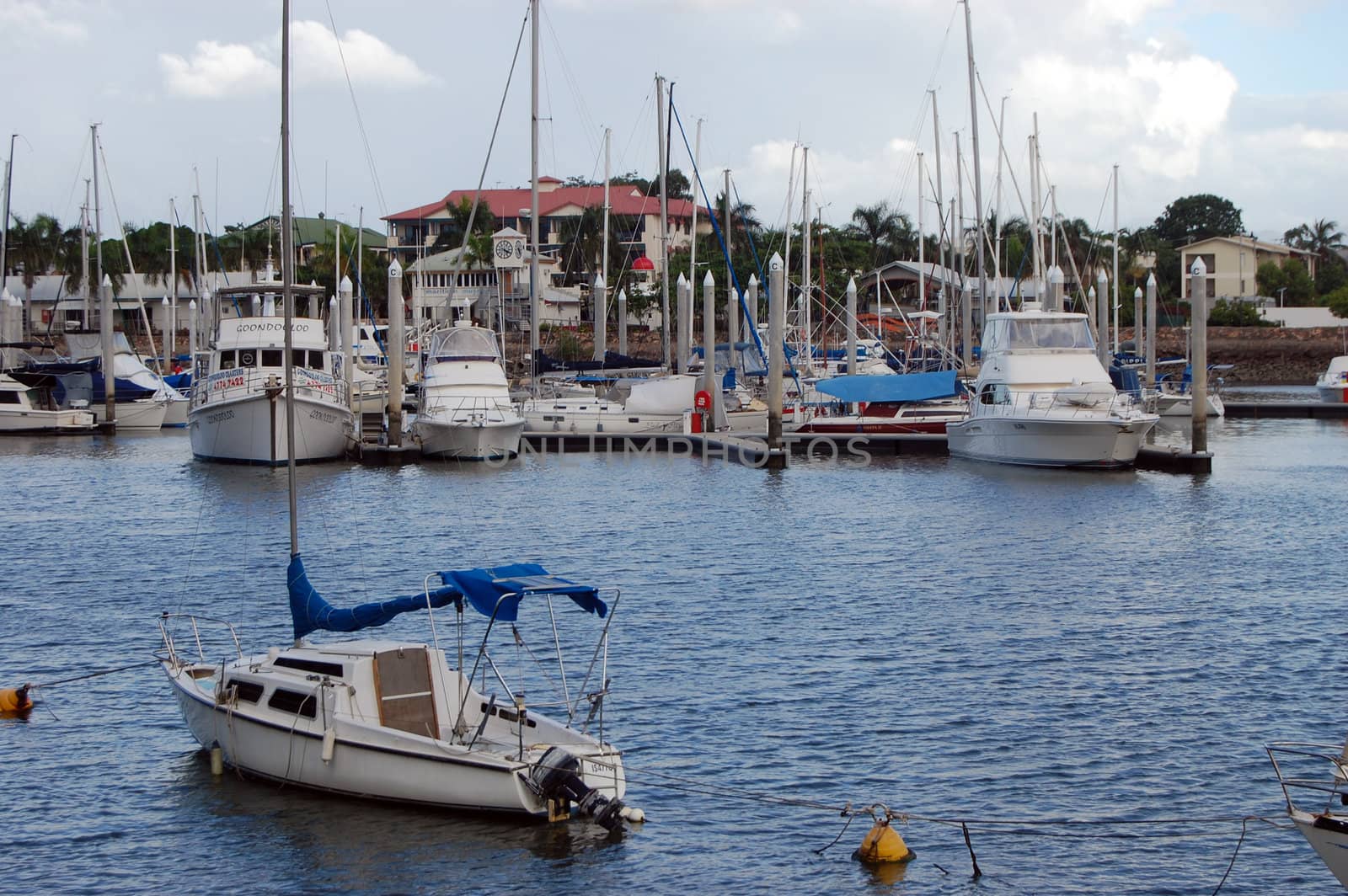 Yachts at marina, Townsville, Australia