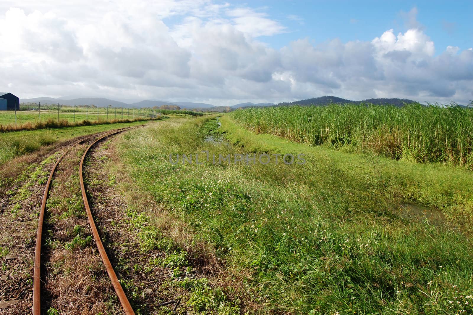 Queensland sugar cane railways by danemo