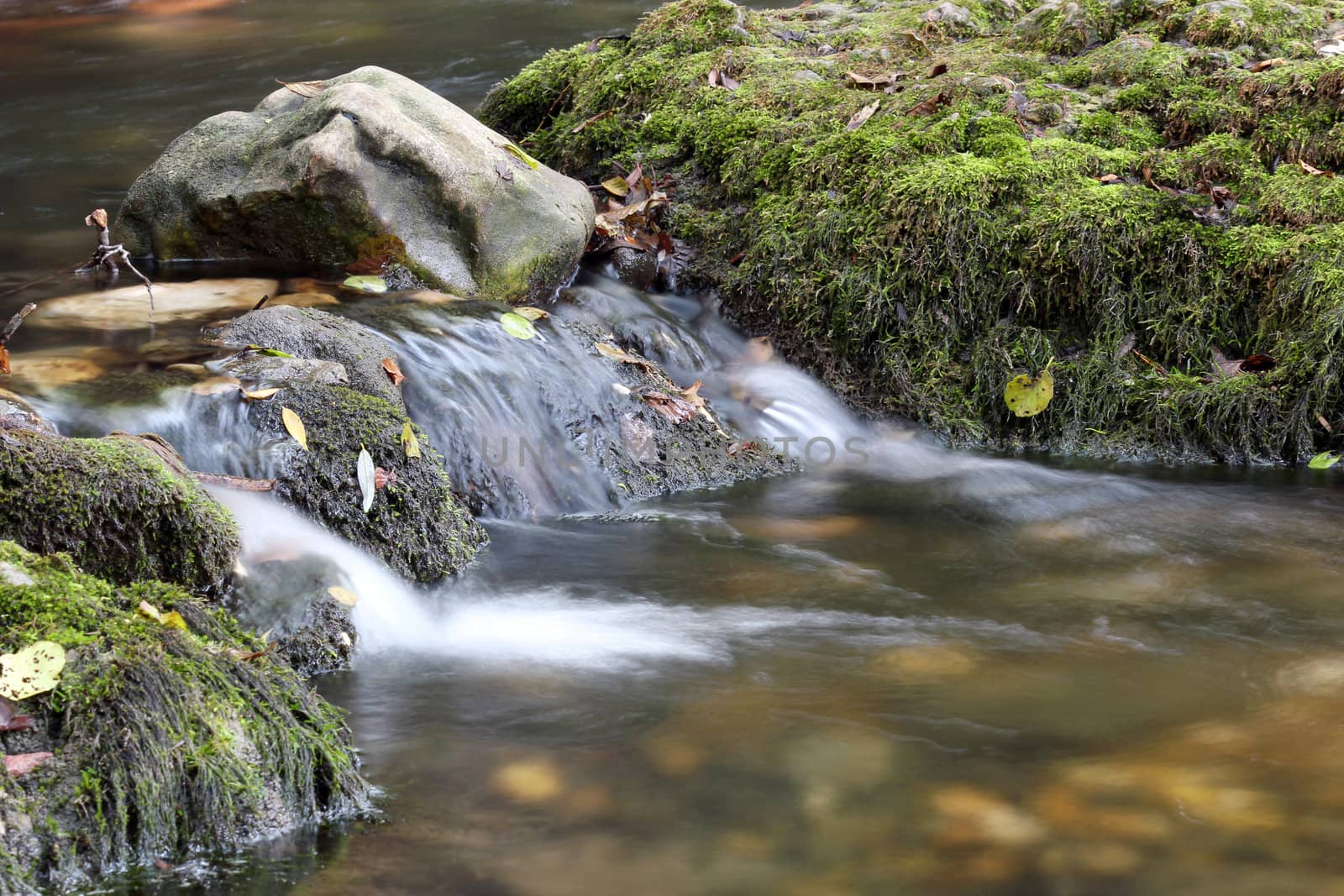 creek nature scene