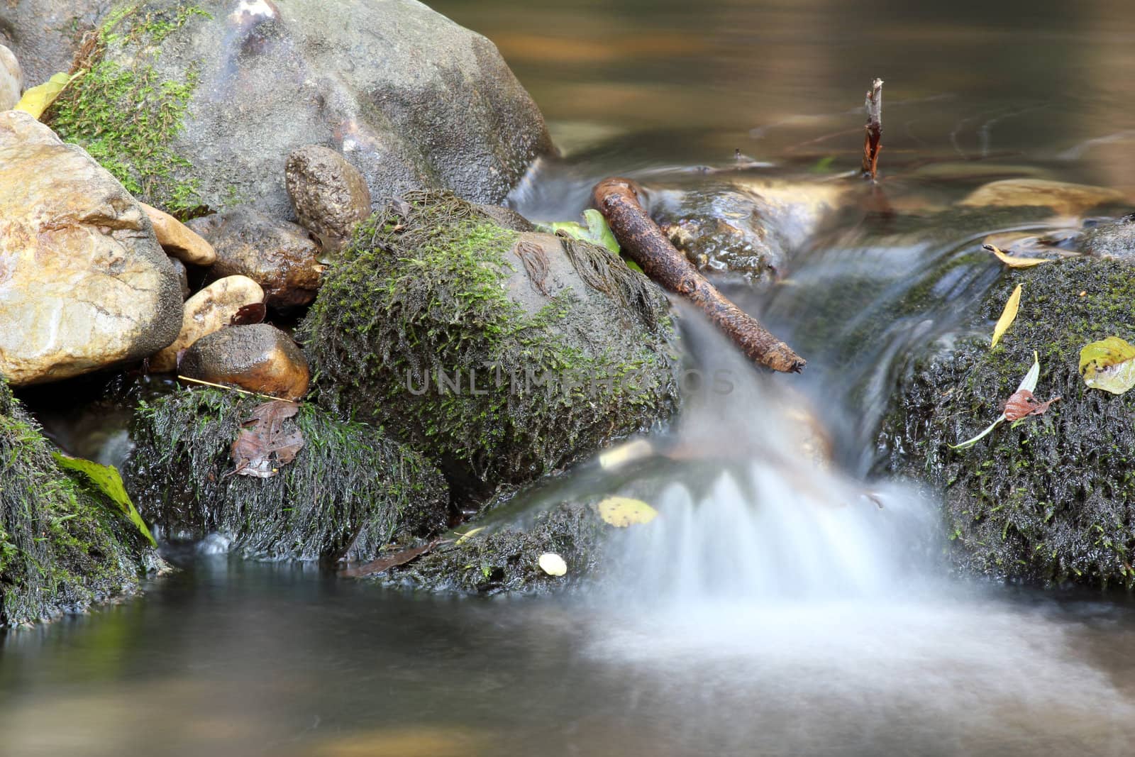 fresh water spring