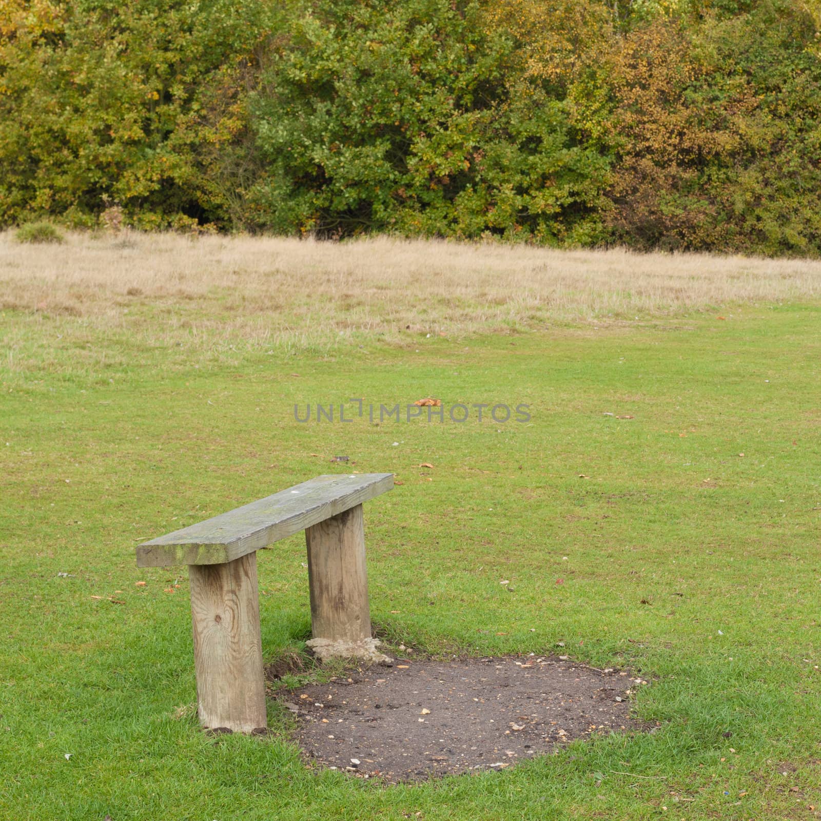 Wooden bench in a park in autumn. Highwoods Park, Colchester, England, United Kingdom.