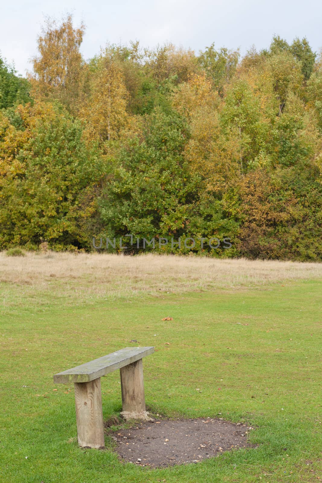 Bench in the countryside in autumn by Brigida_Soriano