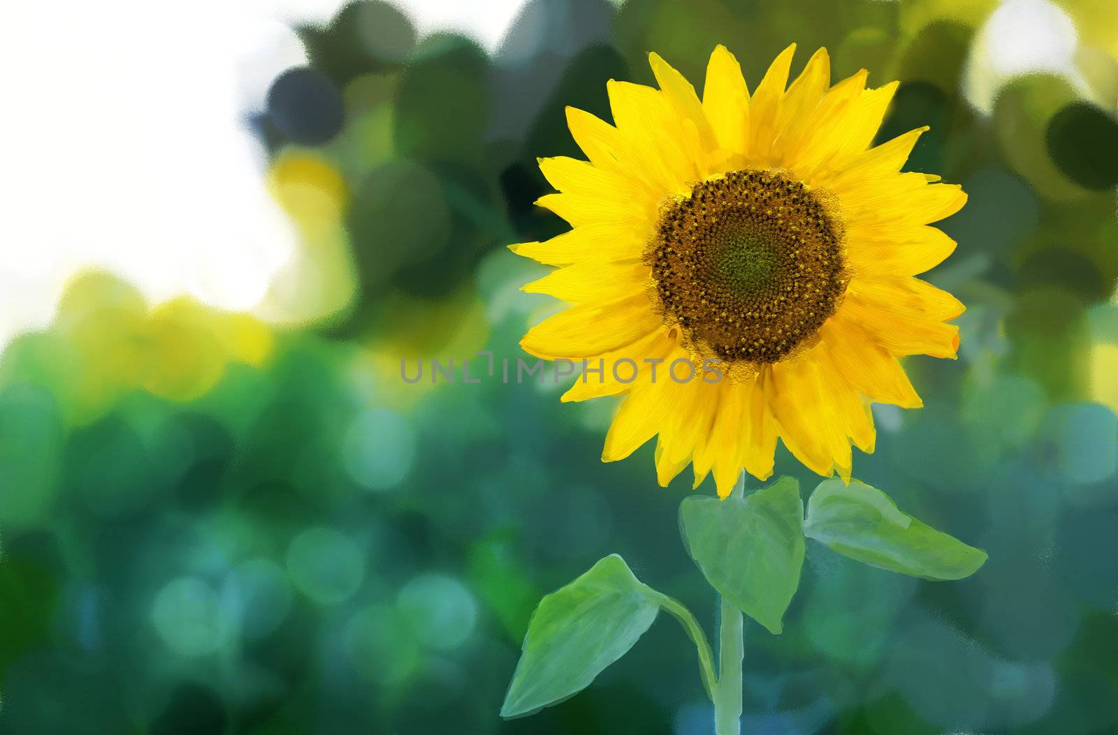 Oil and watercolor stylized picture - Sunflower