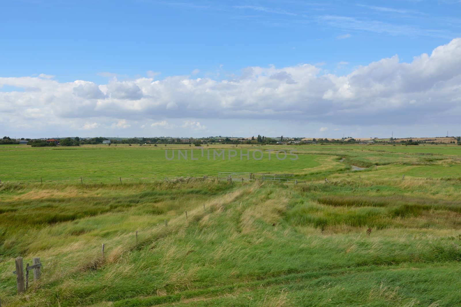 Essex farm landscape