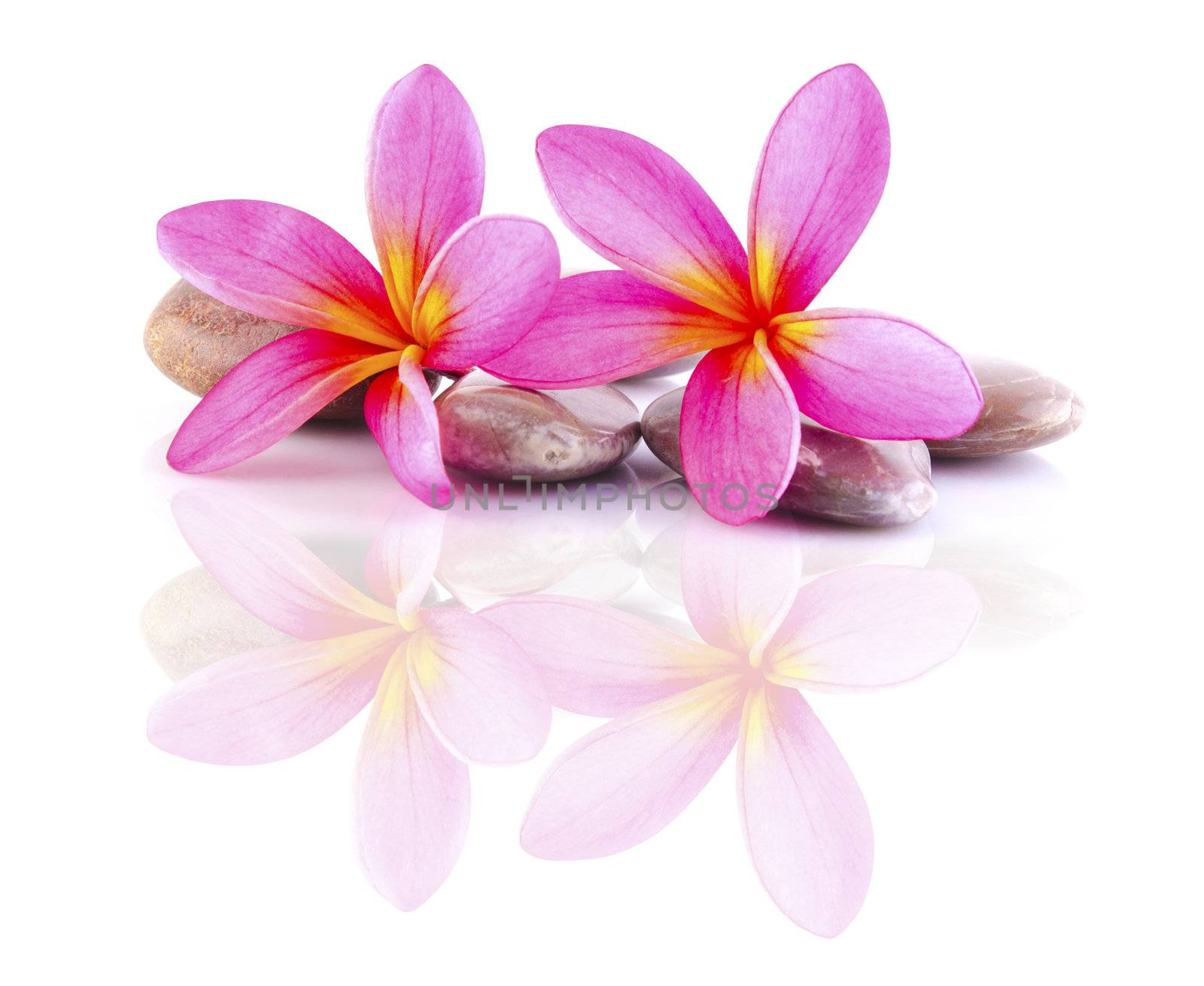 zen stones with frangipani  by yuliang11