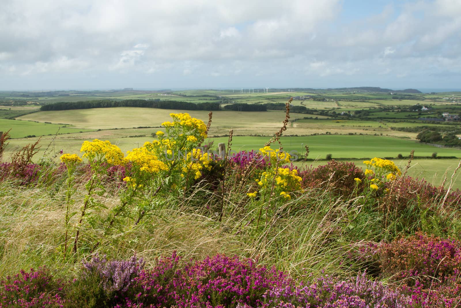 Farmland. by richsouthwales