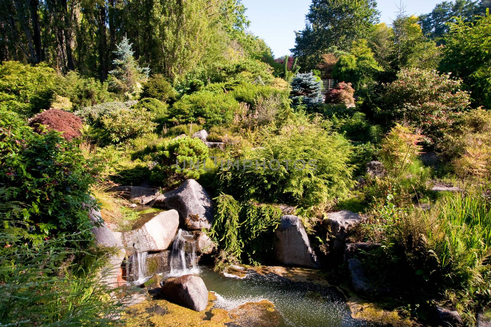 Kubota Garden in Seattle WA