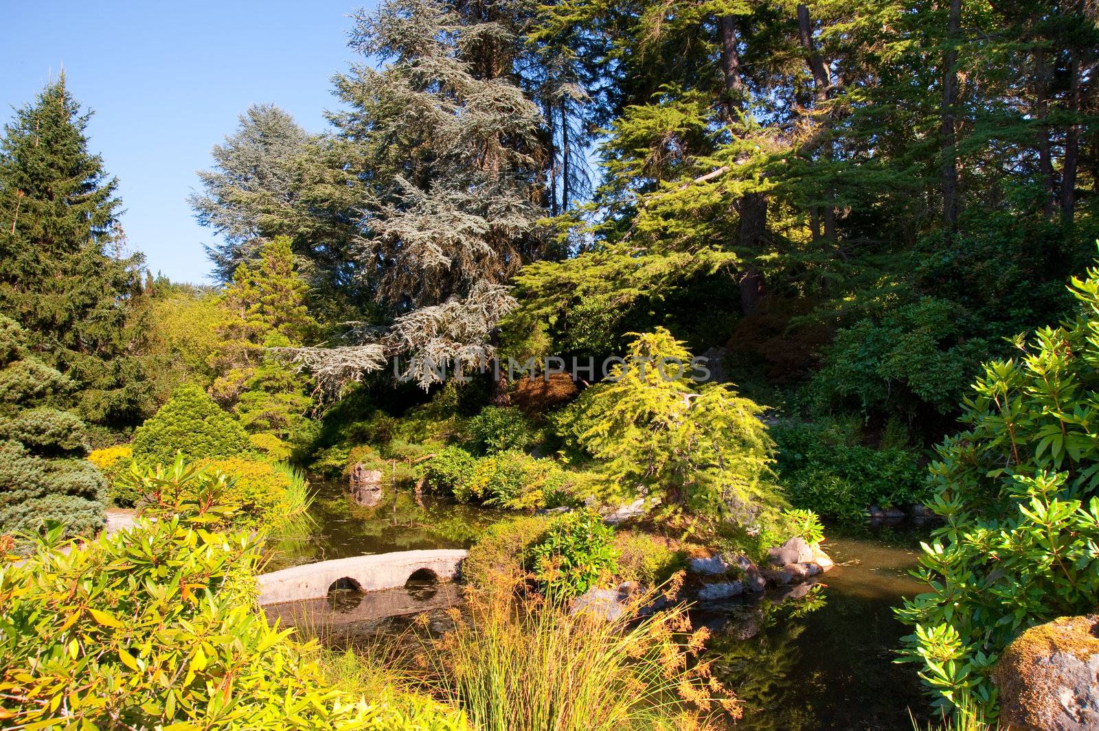 Kubota Garden in Seattle WA