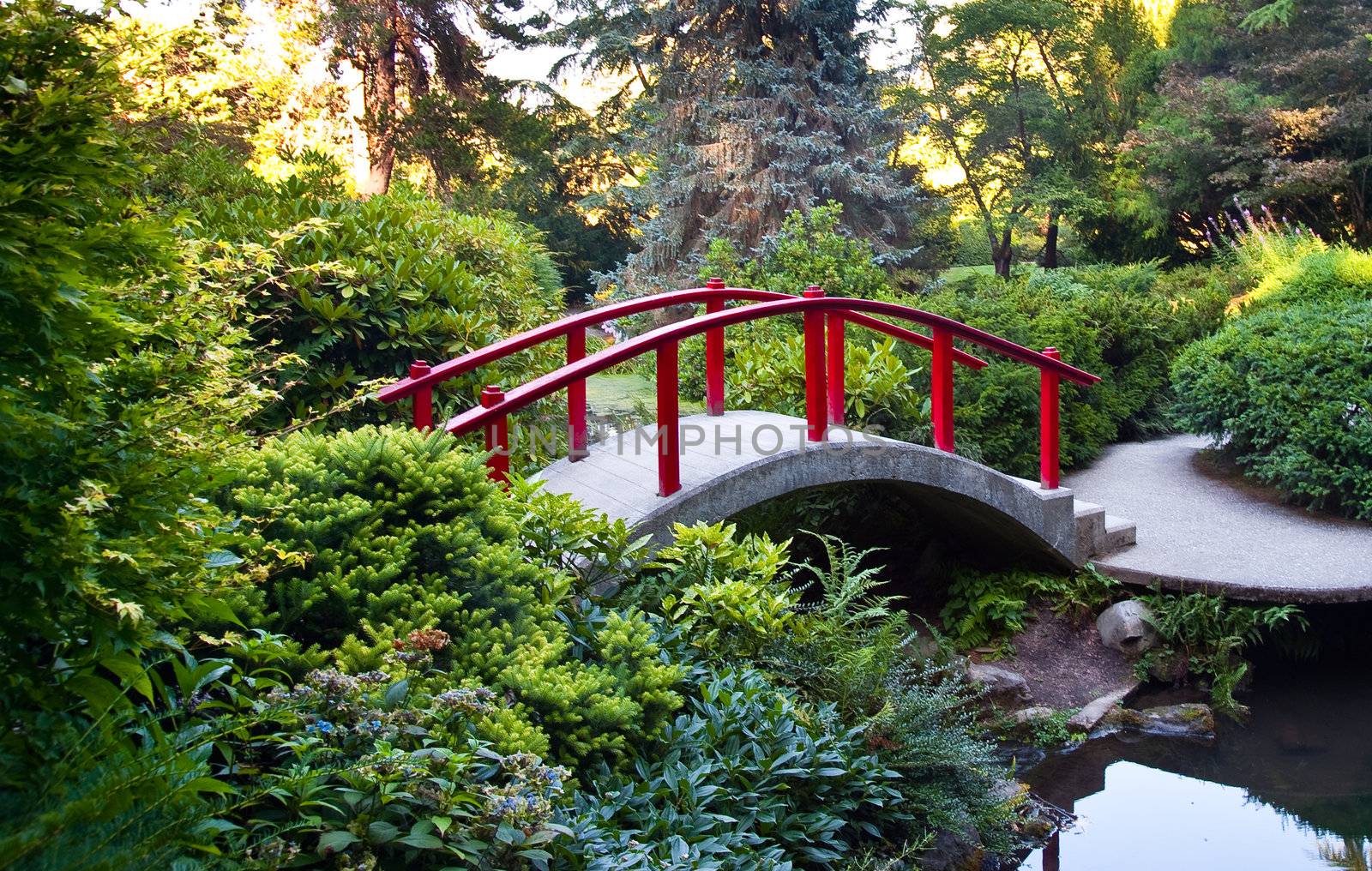 Kubota Garden in Seattle WA