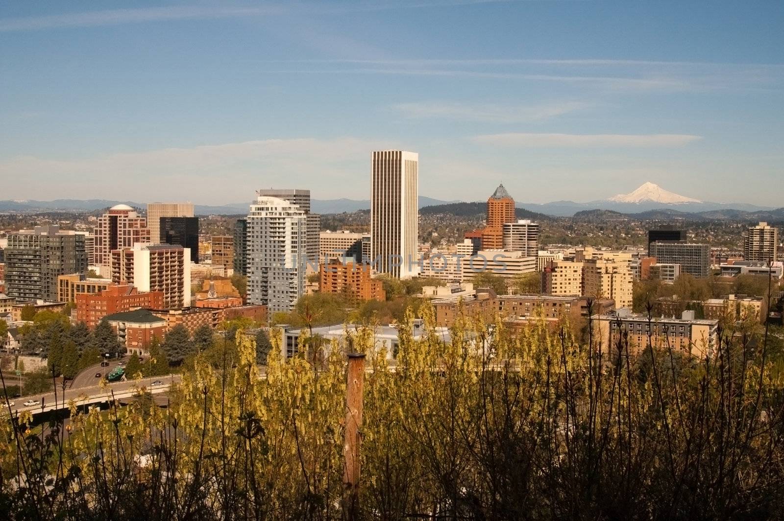 An afternoon in Portland with Mount Hood