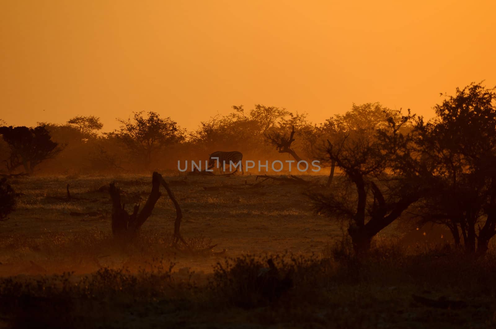 Sunset at the Okaukeujo waterhole, Namibia