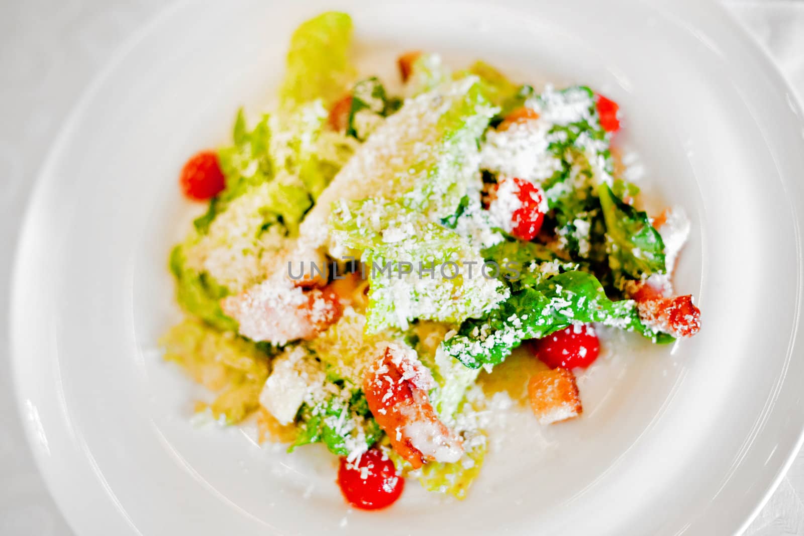 summer salad with shrimps on a white plate