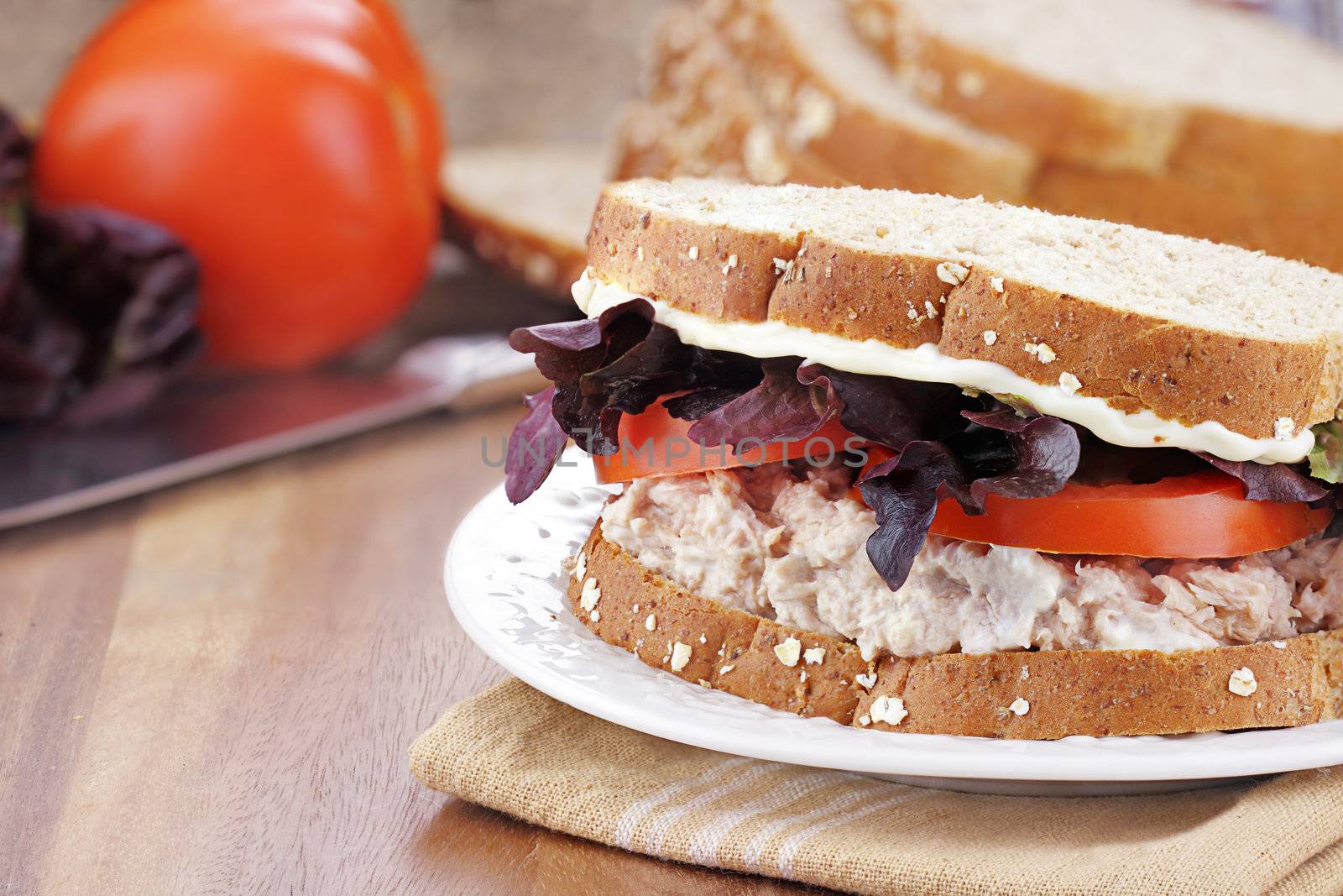 Tuna Salad Sandwich on Whole Grain Bread by StephanieFrey