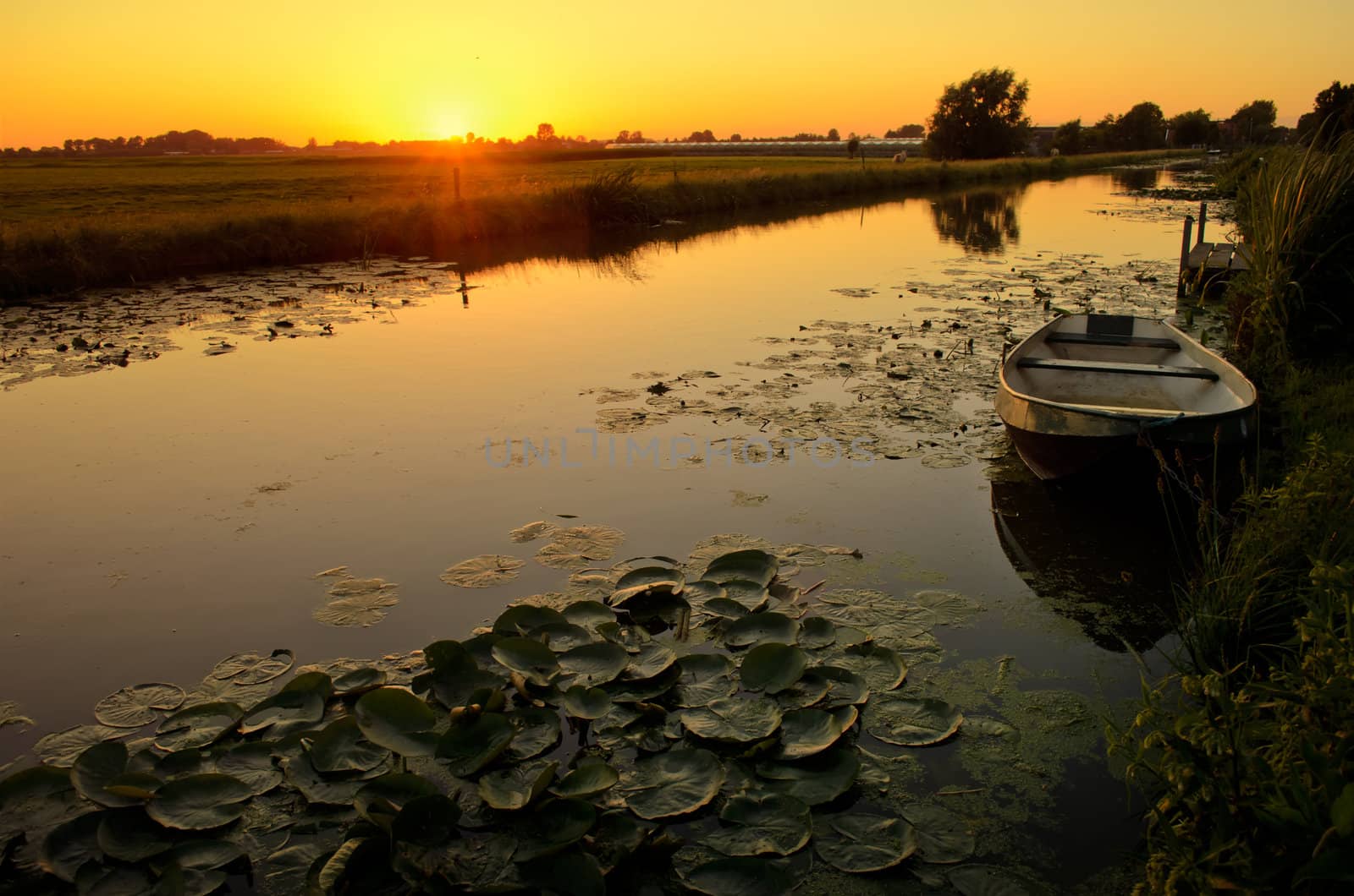 Sunset over a ditch with a boat and waterlily by pljvv