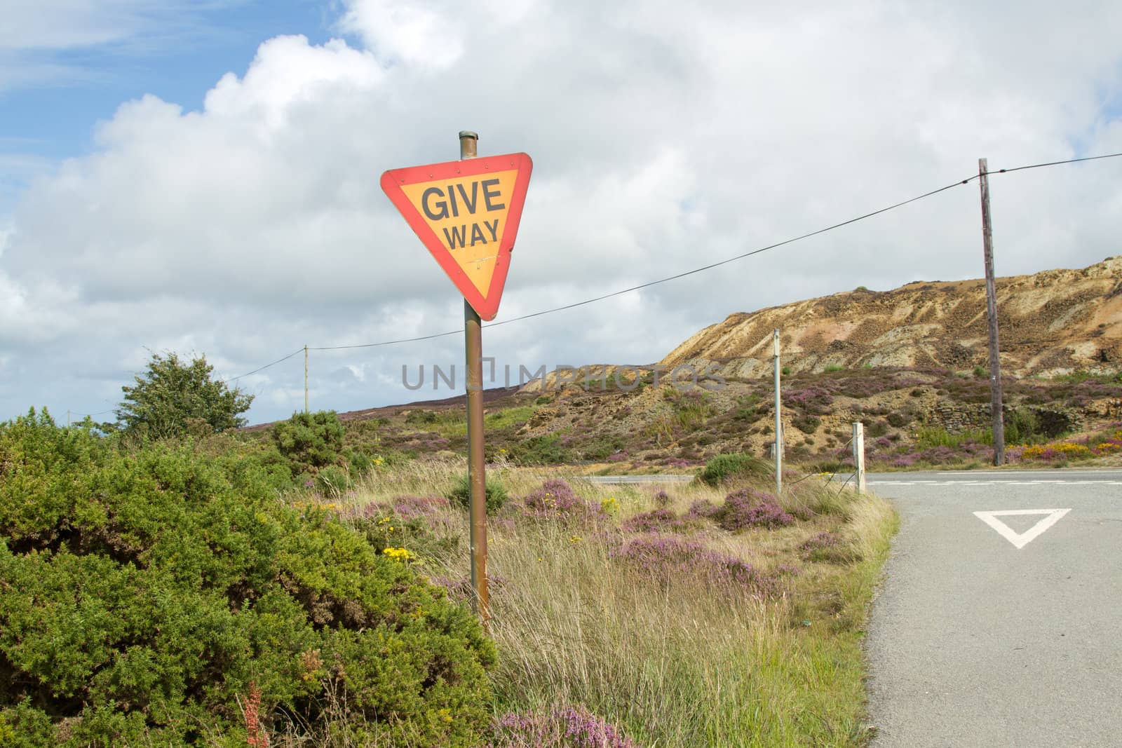 A rural road junction with a sign on a post with the words 'GIVE WAY' on a post amongst plants.