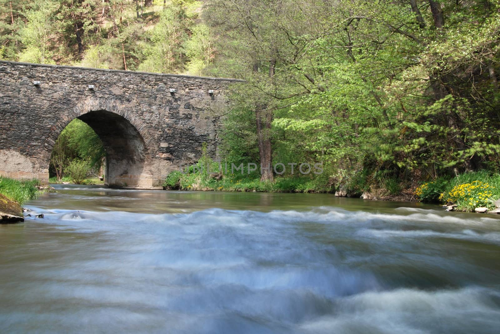 Stone bridge by drakodav