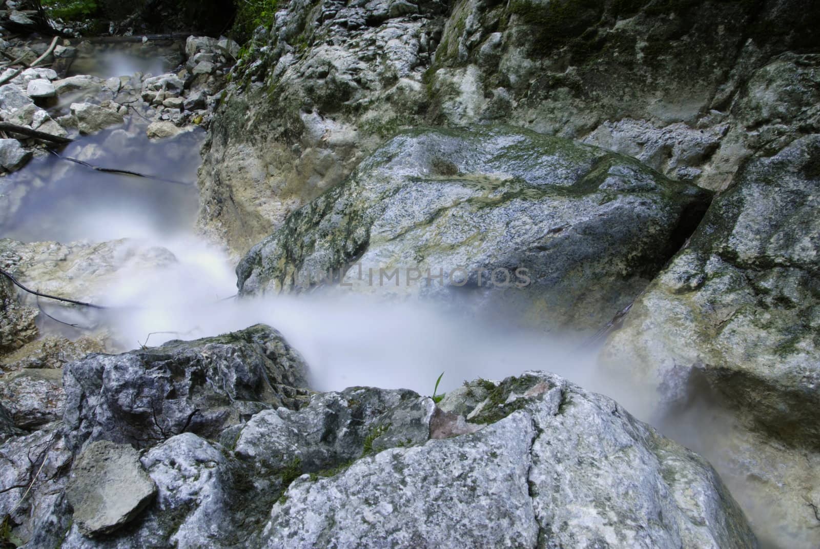 One of the many crystal clear brooks in the Slovakian paradise natural park