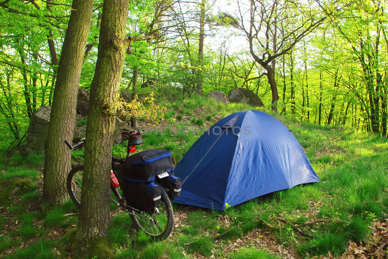 Biker is camping with the tent in green forest