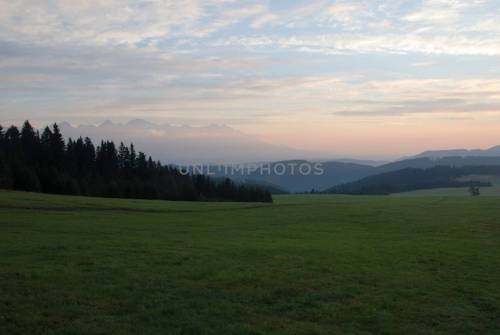 Forest and meadow by drakodav