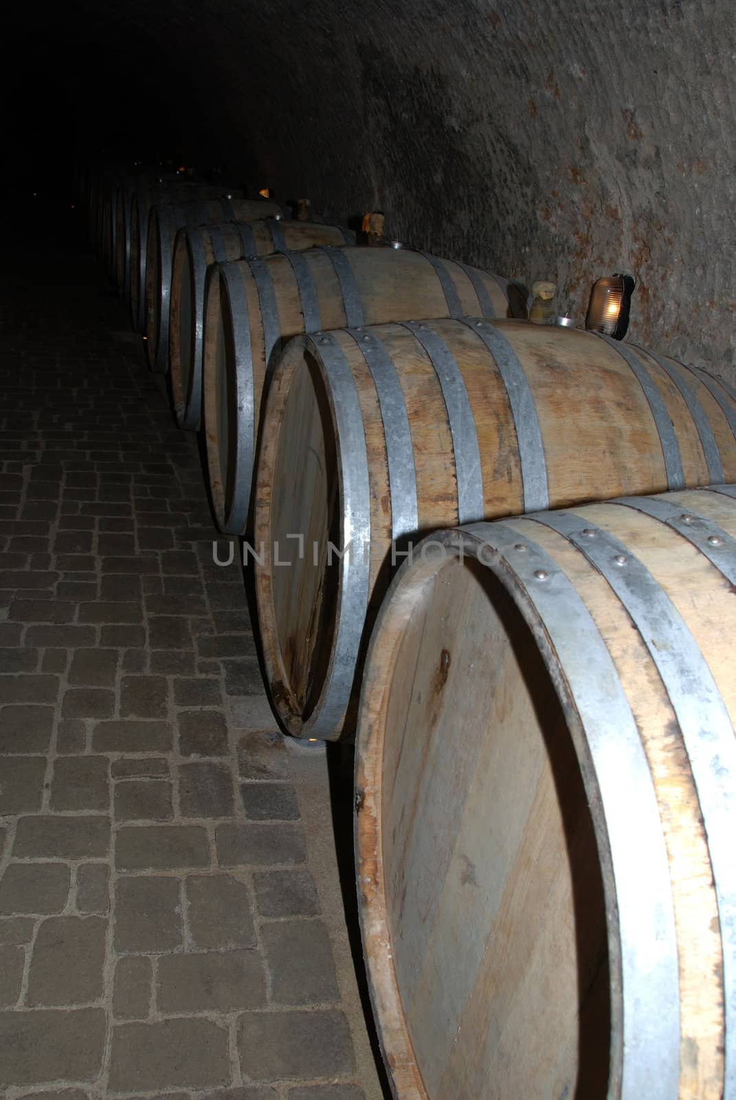 Old wine cellar with barrels covered by mold