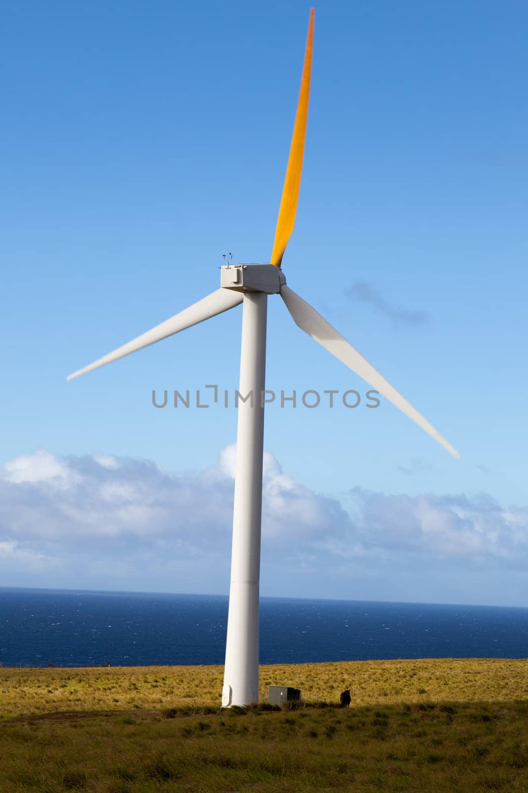 Wind generator spins in an open field overlooking Pacific Ocean