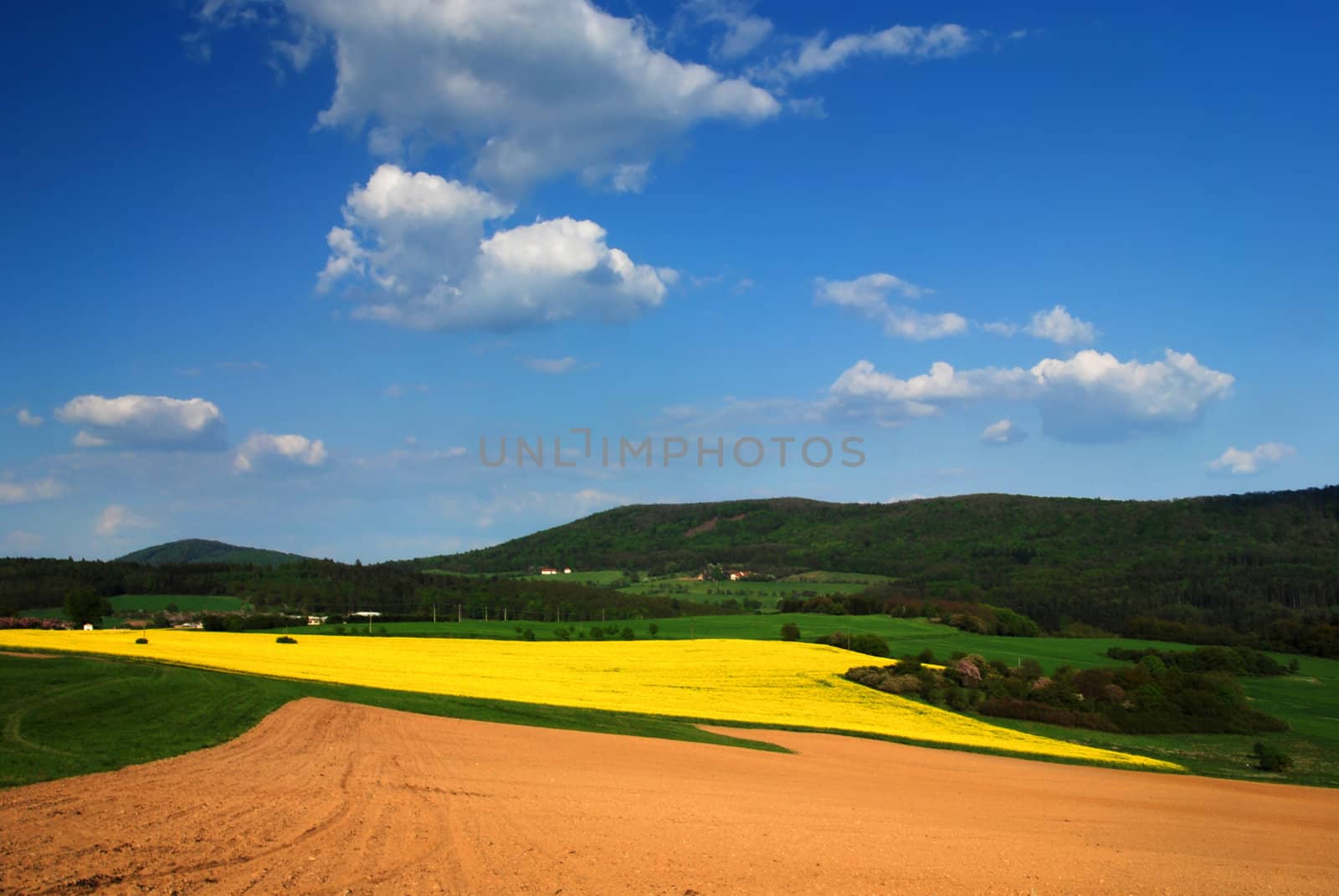 Beautiful spring landscape with rape field and a blue sky