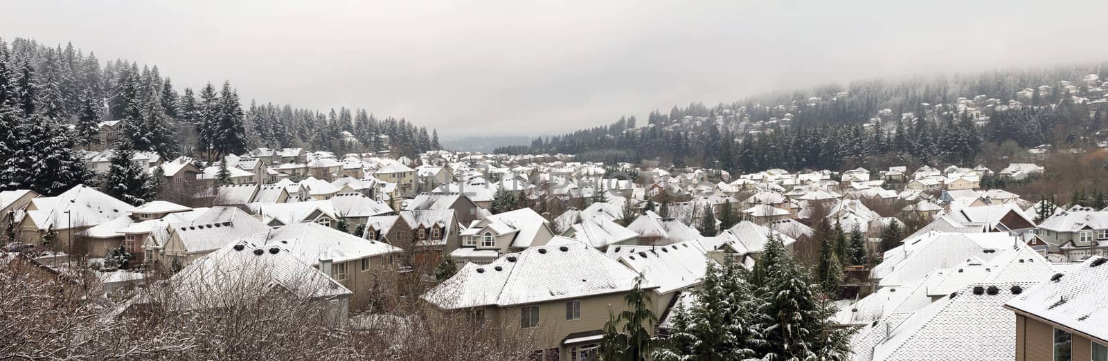 Winter Snow Scene in Typical American Residential Suburban City Housing Estates Panorama