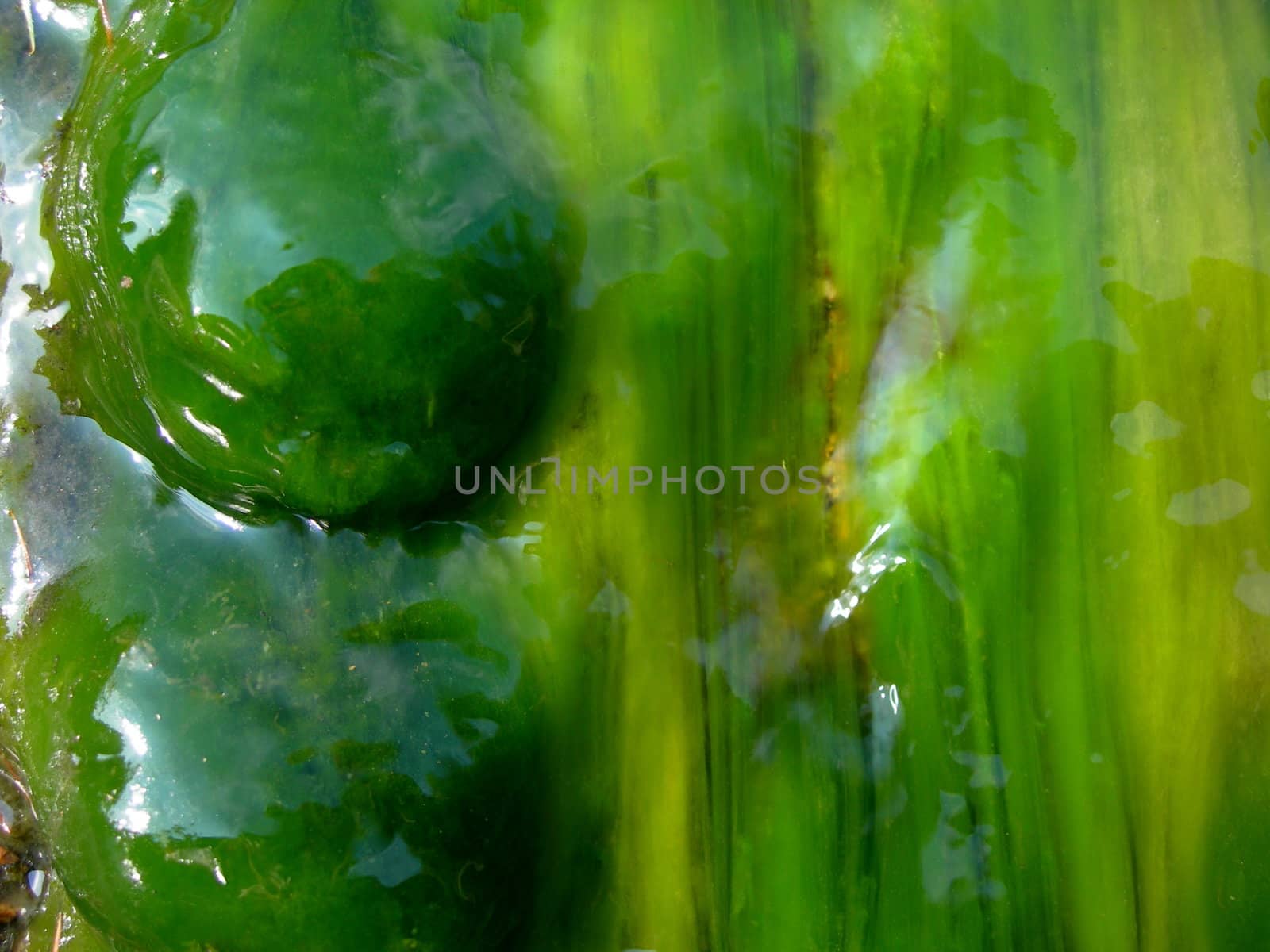 Abstract background of a granite boulder in the sea covered by seaweed is hit by a wave