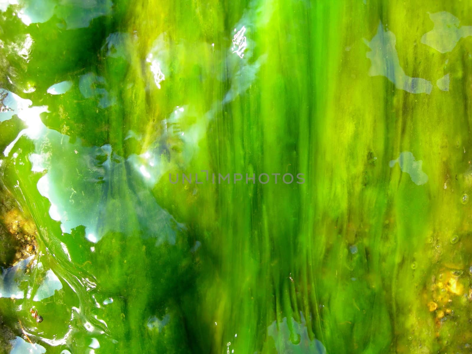 Abstract background of a granite boulder in the sea covered by seaweed is hit by a wave