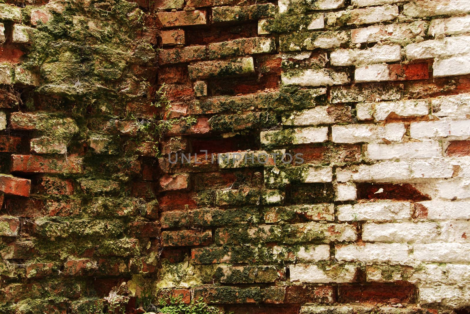 An old wall background with cracked paint and broken bricks