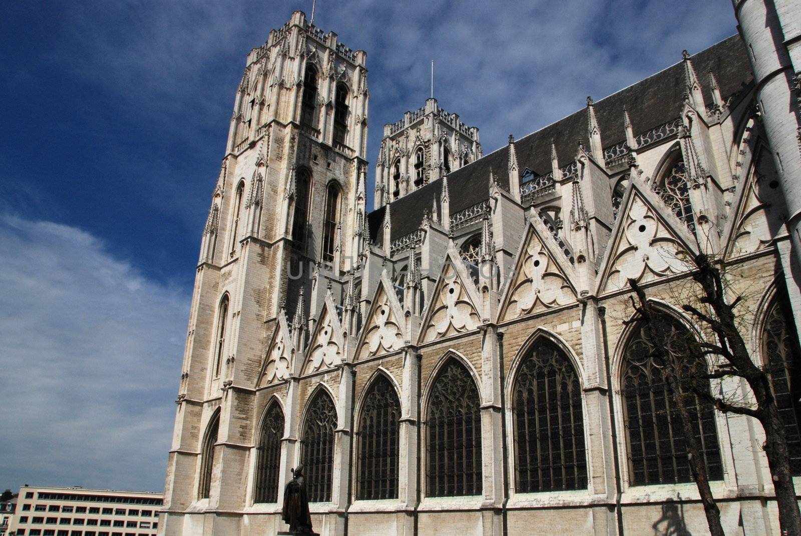 Cathedral of Brussels by drakodav