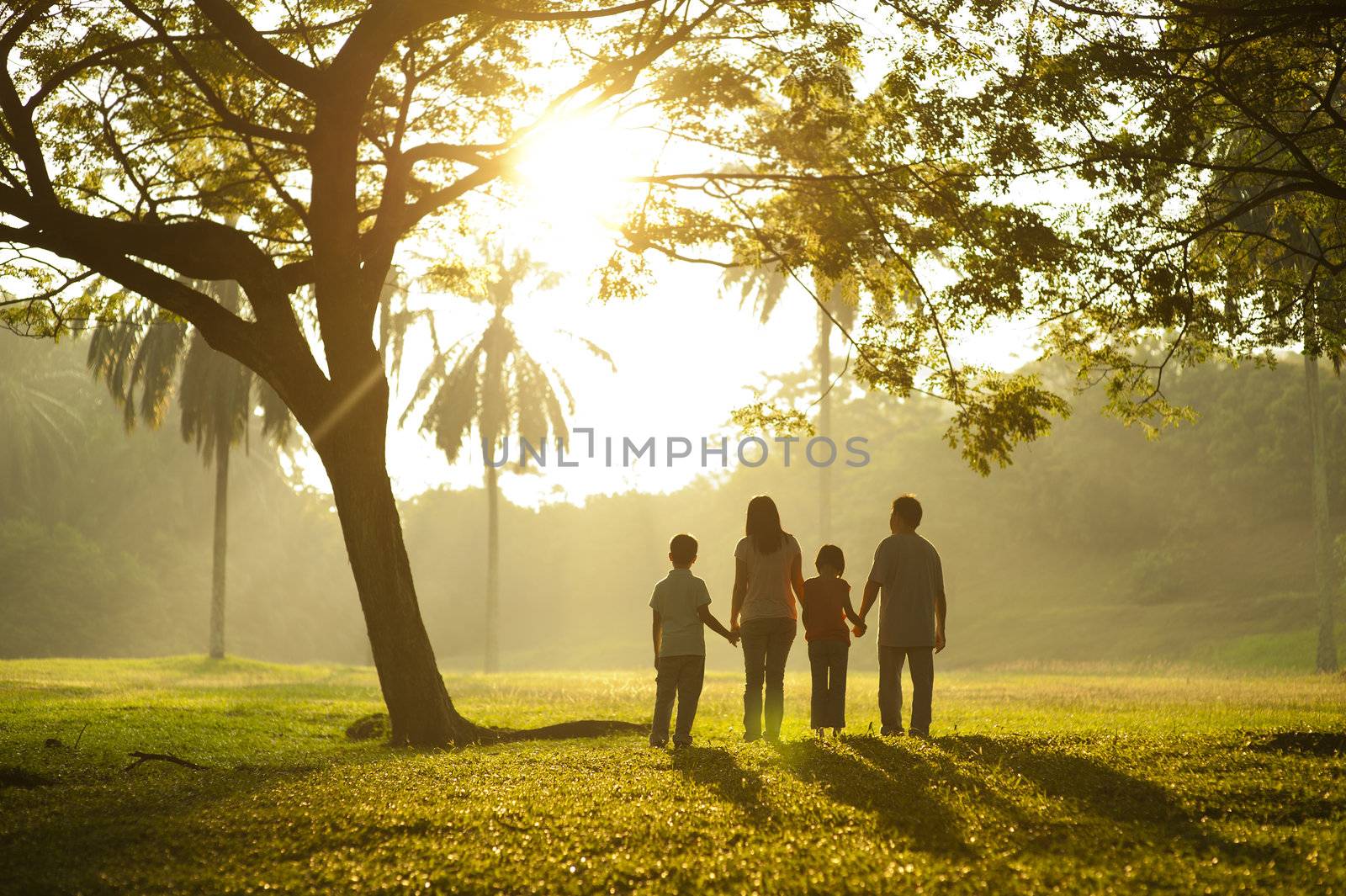Asian family holding hands and walking towards light