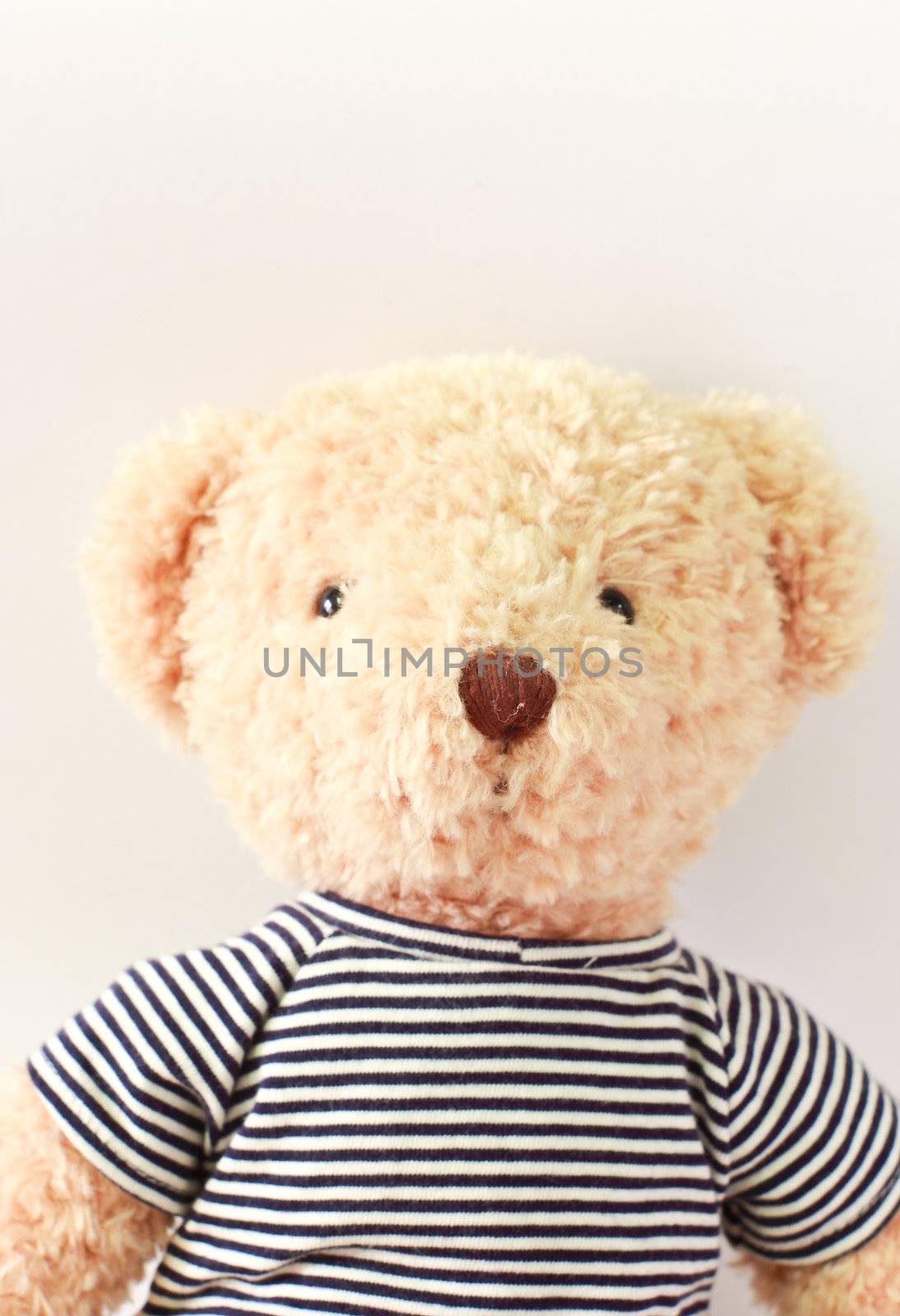 Cute teddy bear with t-shirt by nuchylee