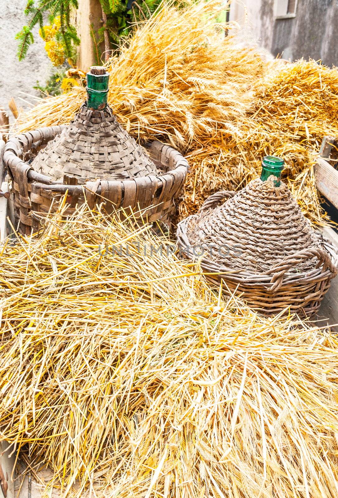 Autumn harvest demijohn wicker by rigamondis