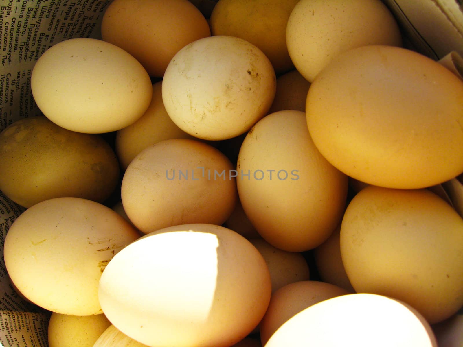 a lot of eggs of the hen by alexmak