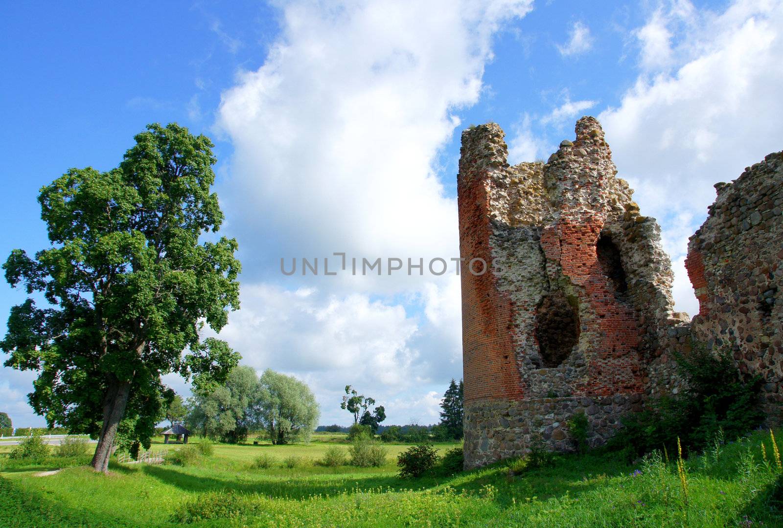 Ruins and tree by andrei_kolyvanov