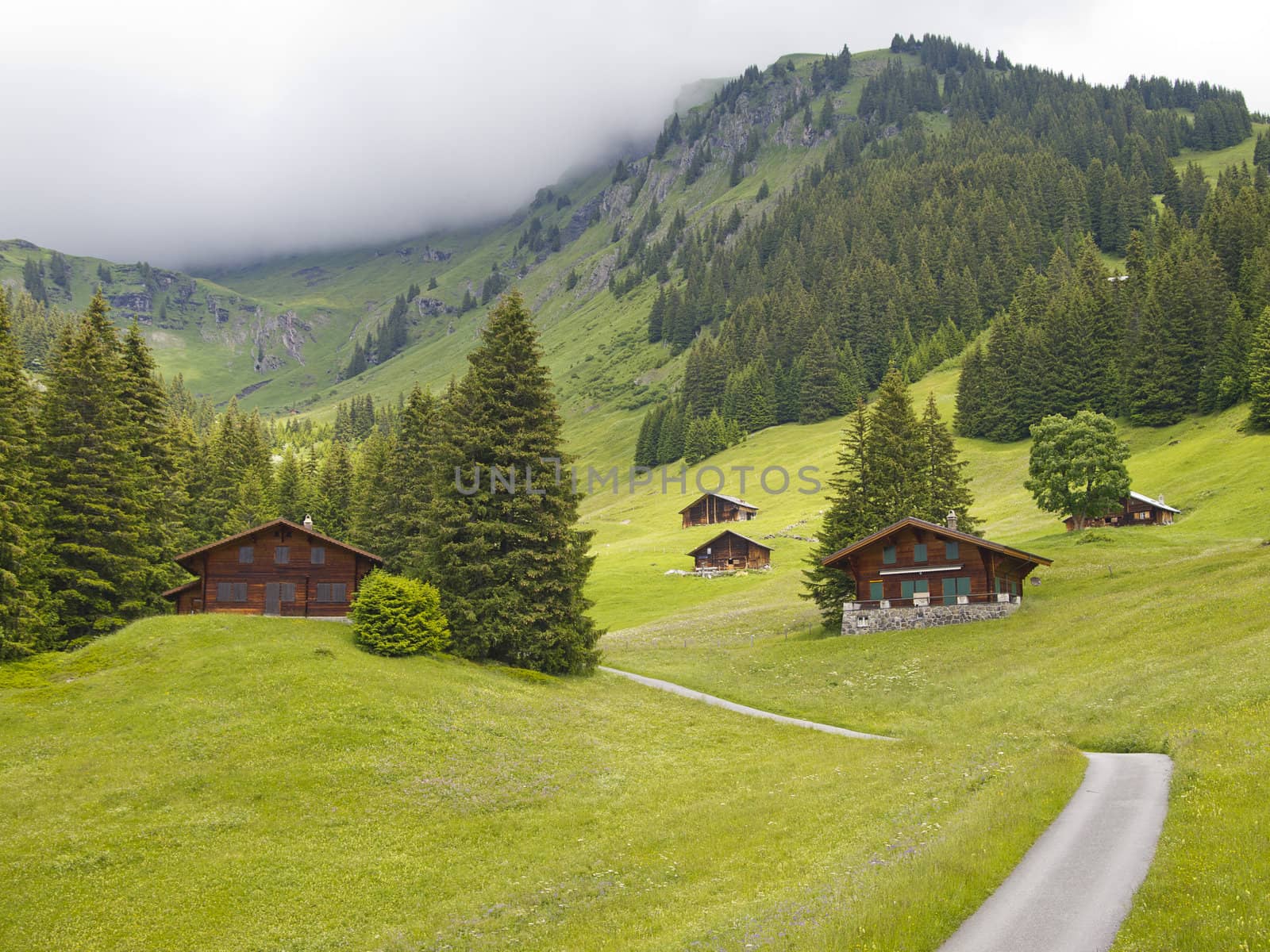 Group of Swiss styled huts in the valley of First, Grindelwald, Switzerland