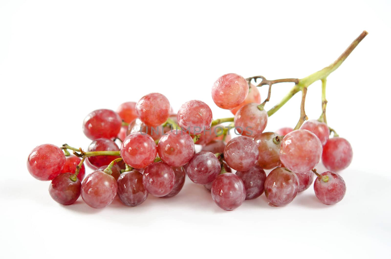 bunch of red grapes , wet and fresh