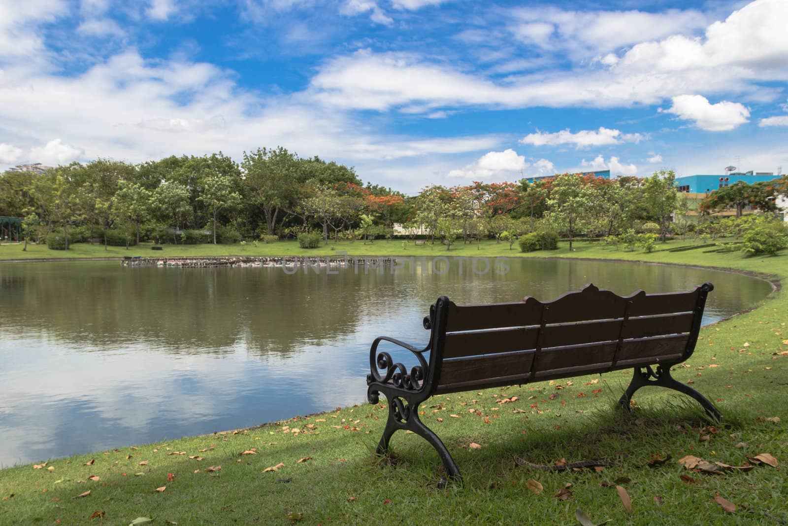 The lonely bench in the park with the view of small lake reflection. Bangkok. Thailand.