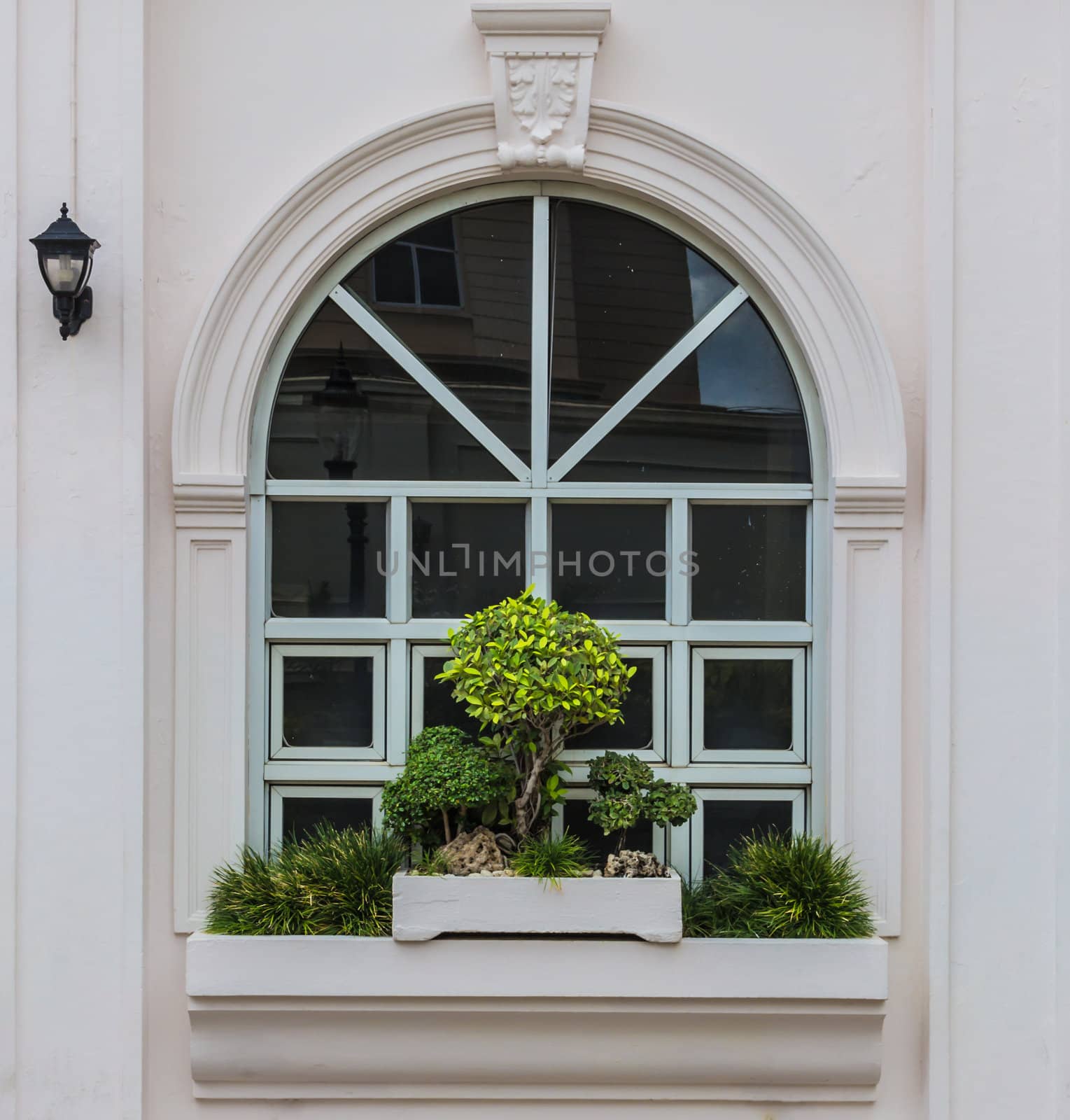 Arch window with bonsai decoration and street lamp reflection.